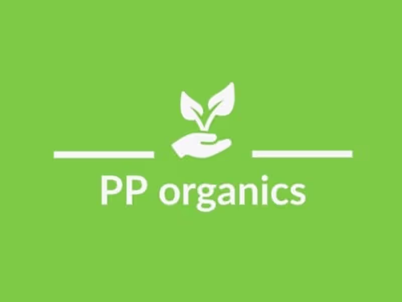 Cover image for Website creation