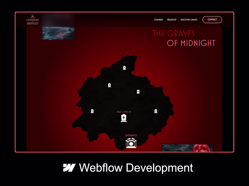 Cover image for Webflow Development