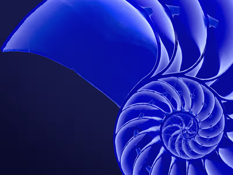 Cover image for Webflow Web Development