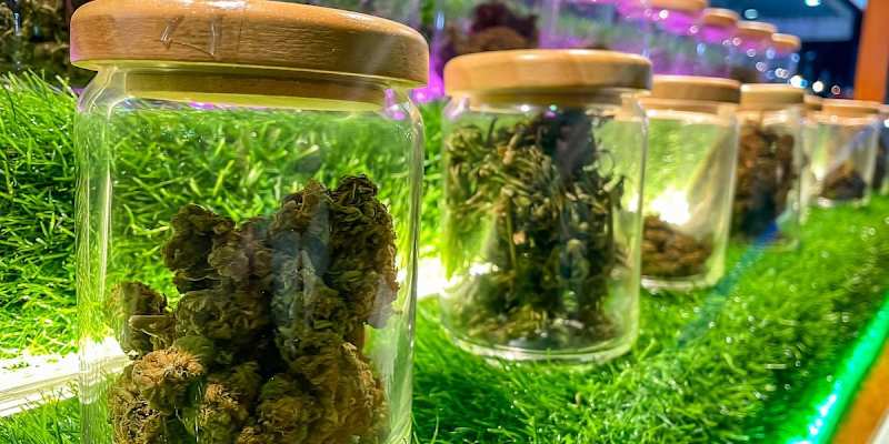 Cover image for A Guide to Legal Weed in NYC
