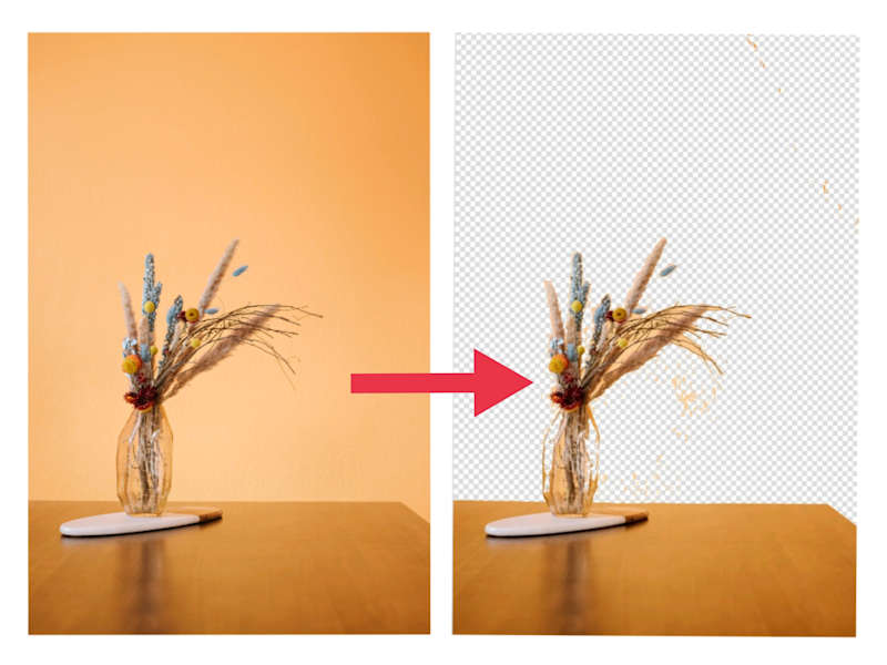 Cover image for Professional Background Remover