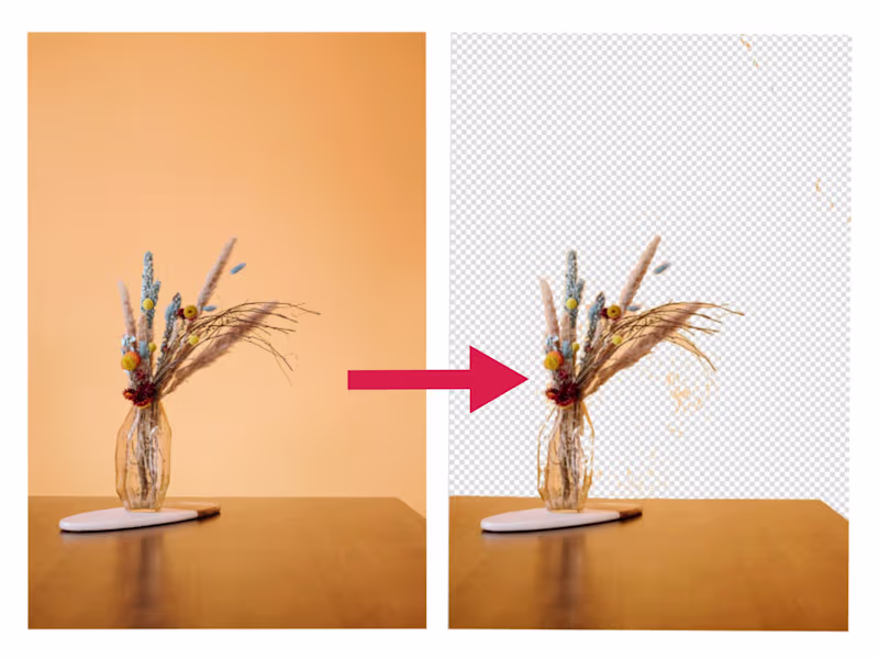 Cover image for Professional Background Remover