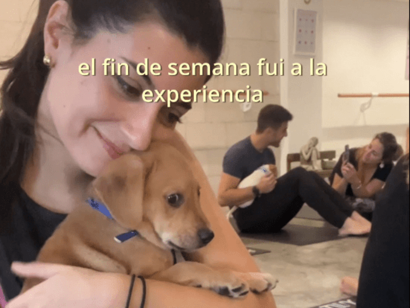 Cover image for UGC Content - Puppy Yoga Classes in Buenos Aires