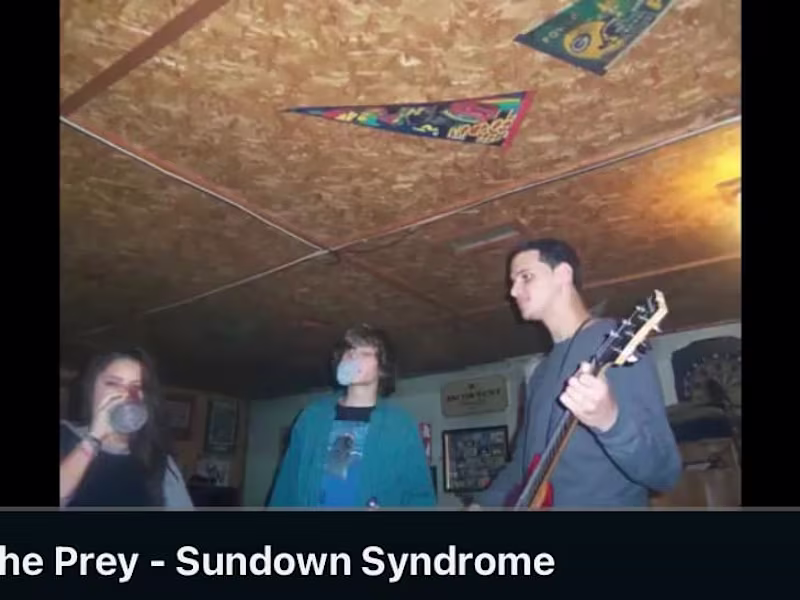 Cover image for My Old Band