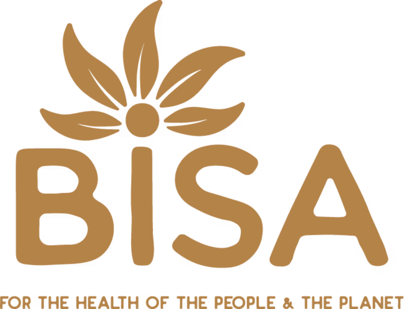 Cover image for Bisa Brand Identity 
