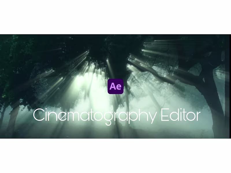 Cover image for CINEMATOGRAPHY EDITOR