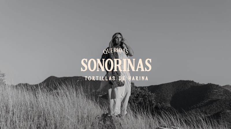 Cover image for ReBrand Design for Sonorinas