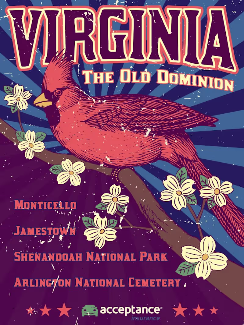 Cover image for Designed a Set of Posters Featuring State Themes & Attractions