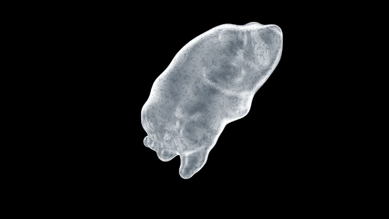 Cover image for RTN Series