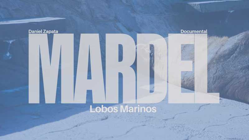 Cover image for A short documentary about Sea