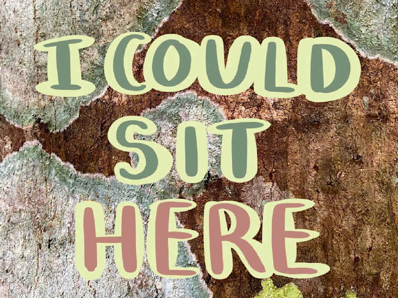 Cover image for I Could Sit Here - Poem