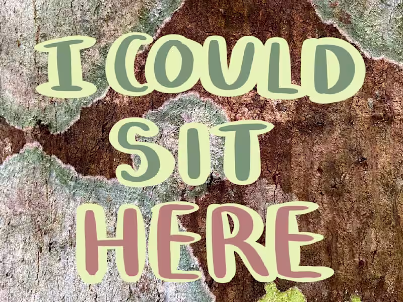 Cover image for I Could Sit Here - Poem