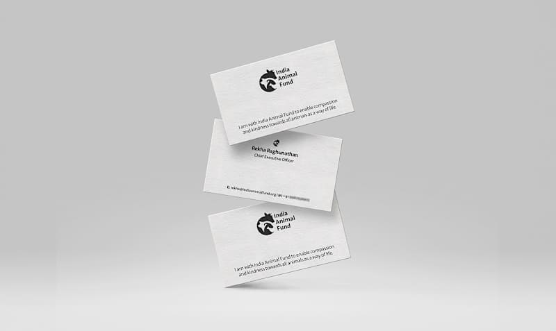 Cover image for Visiting Card Design – India Animal Fund