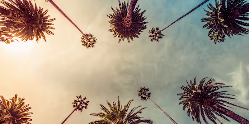 Cover image for Paid Social Media Advertising