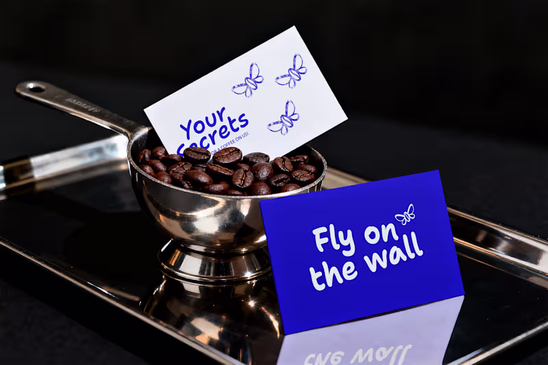 Cover image for Fly on the wall -