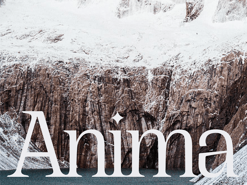 Cover image for Anima Travels - Web Design (Framer)