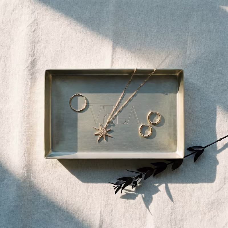 Cover image for VELA Brand Identity and Website Design