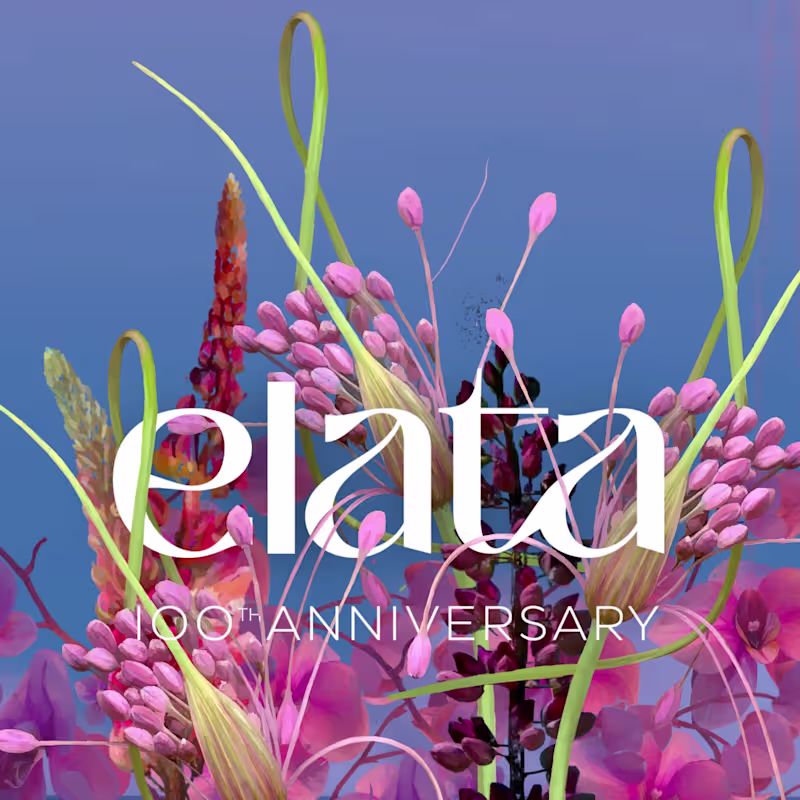 Cover image for Elata 1923 - motion design project