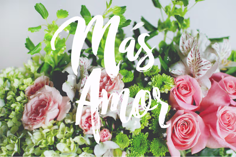 Cover image for Branding | Photography | Editing Flower Catalog
