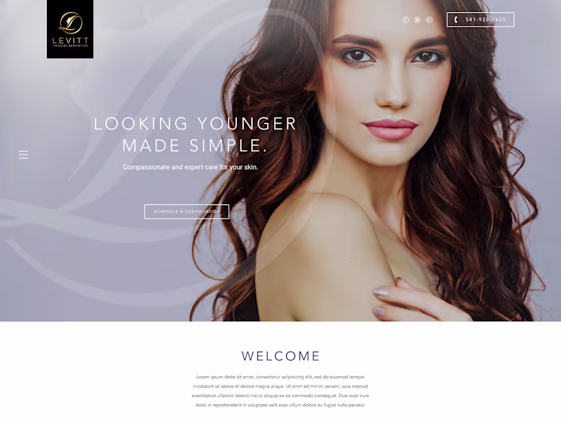 Cover image for Levitt Homepage Design