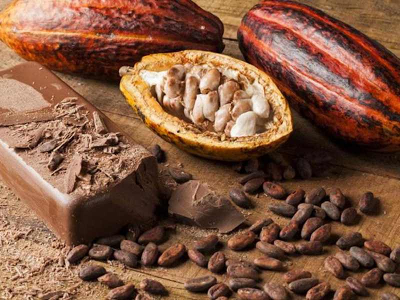 Cover image for Chocolate-WCC STEM Scholars Newsletter July 2023