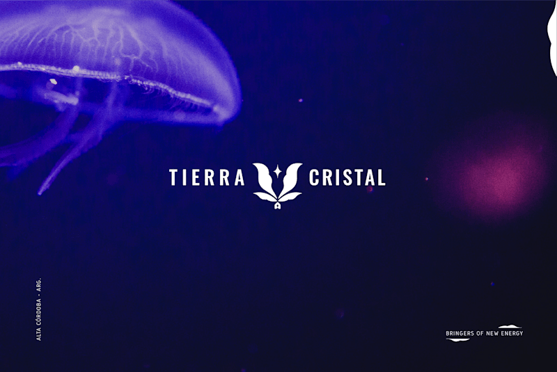 Cover image for Brand Identity for Holistic Studio