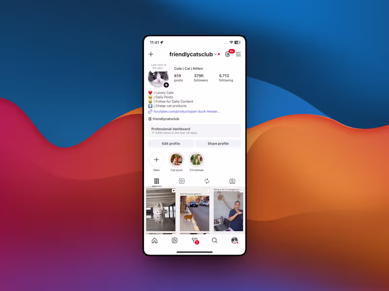 Cover image for Here’s how I grew @friendlycatsclub from scratch to 379K fol...