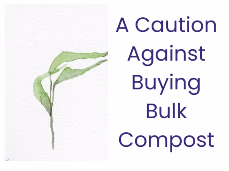 Cover image for Researched Opinion Piece on Ecology