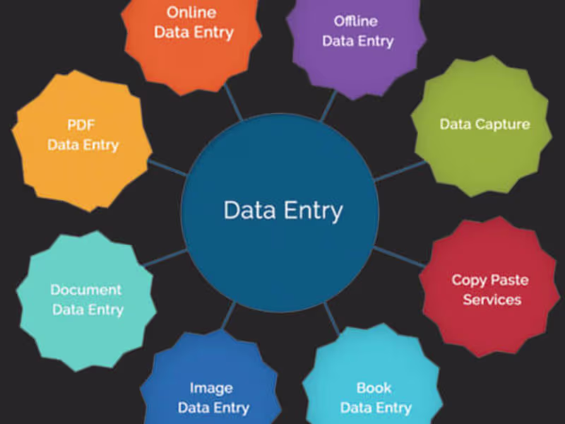 Cover image for Data Entry