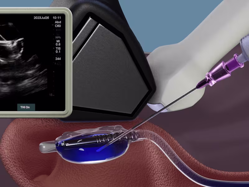 Cover image for I bring an artist's eye to the work of explaining