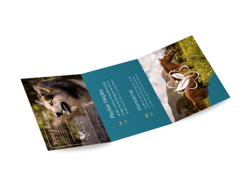 Cover image for Contemporary Brand Kit Design