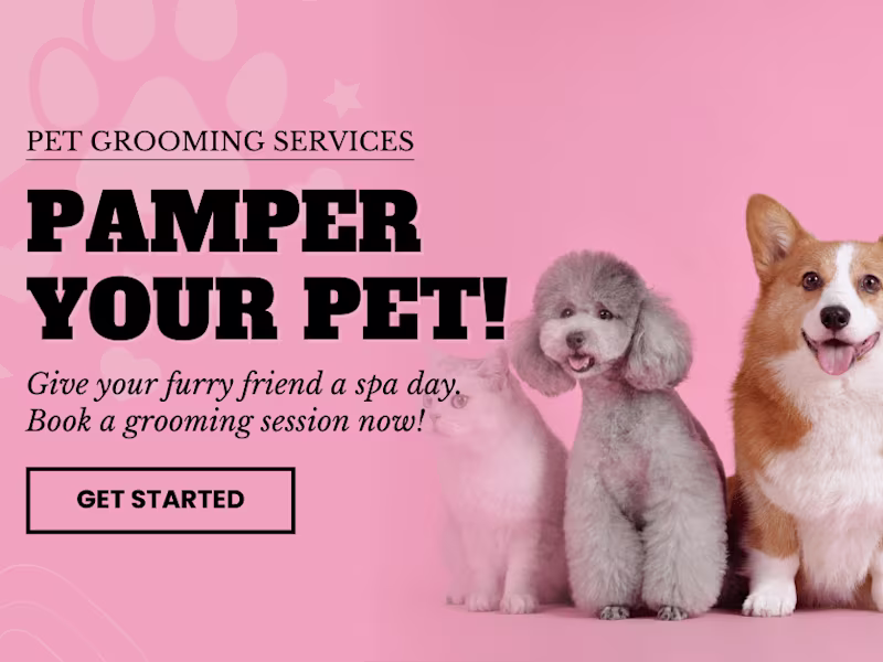 Cover image for Social Media Design and Content Creator