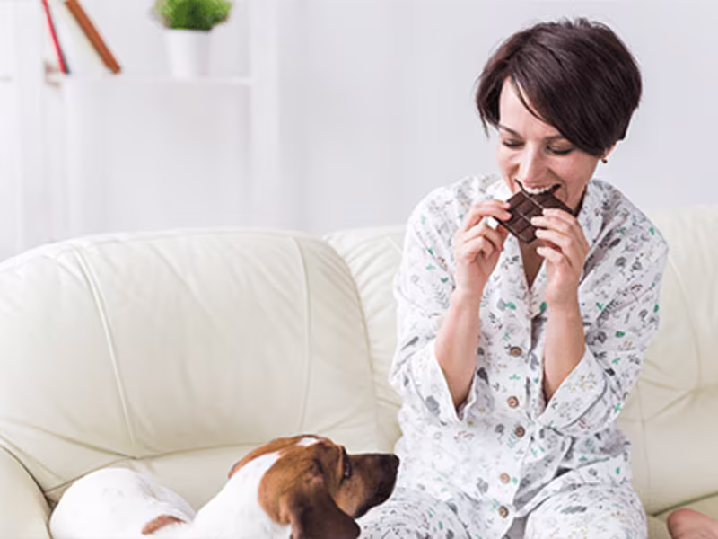 Cover image for Content Writing: Blog Article for Pet Owners