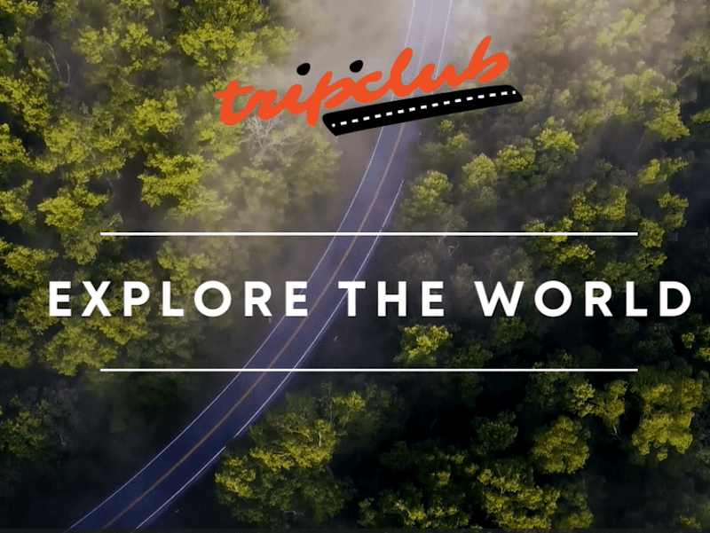 Cover image for Editing & Creative Animations That Elevate Your Story