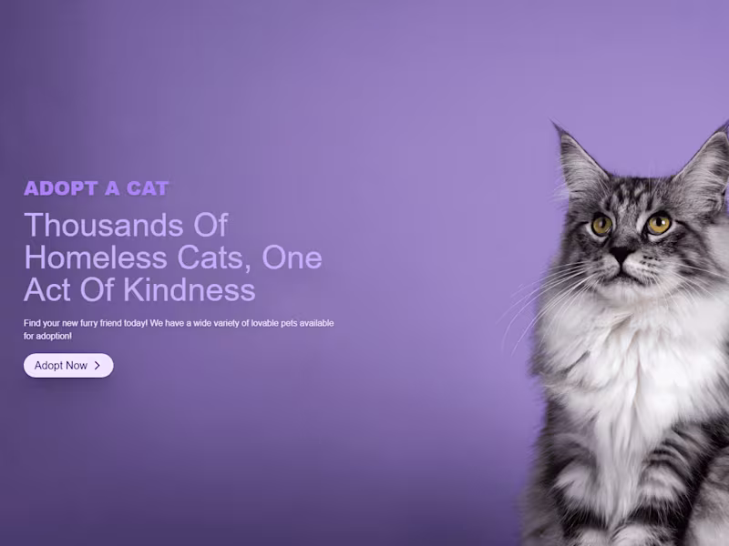 Cover image for Cat adoption platform