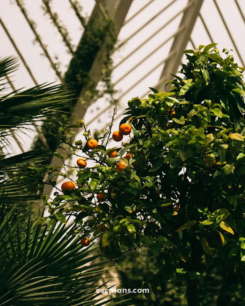 Cover image for The 10 Best Things To Do in Valencia: Travel Blog to Inspire