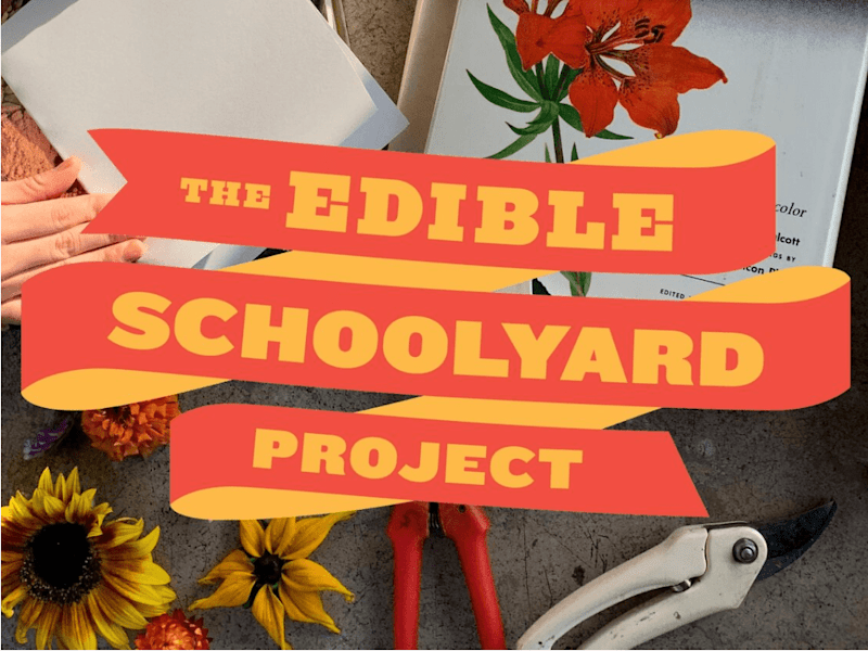 Cover image for The Edible Schoolyard Project