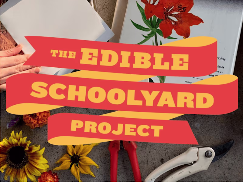 Cover image for The Edible Schoolyard Project