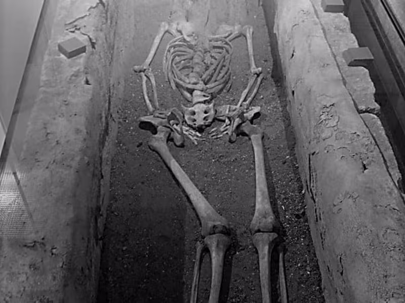 Cover image for The Roaming Roman.