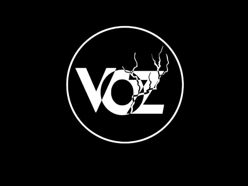 Cover image for Voice of Zeus Landing Page Design