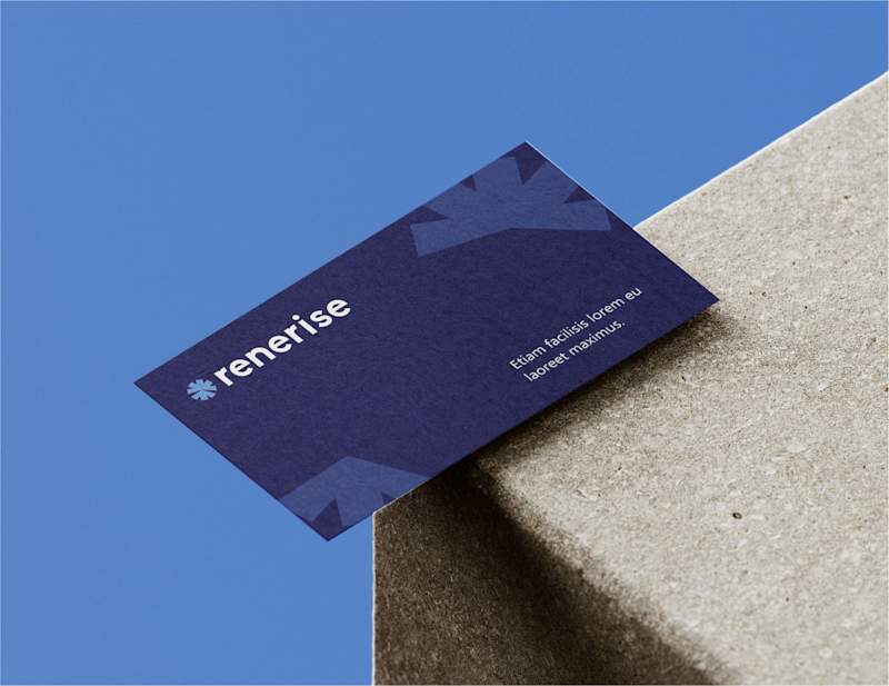 Cover image for Renerise brand identity, Ui web3 design project :: Behance