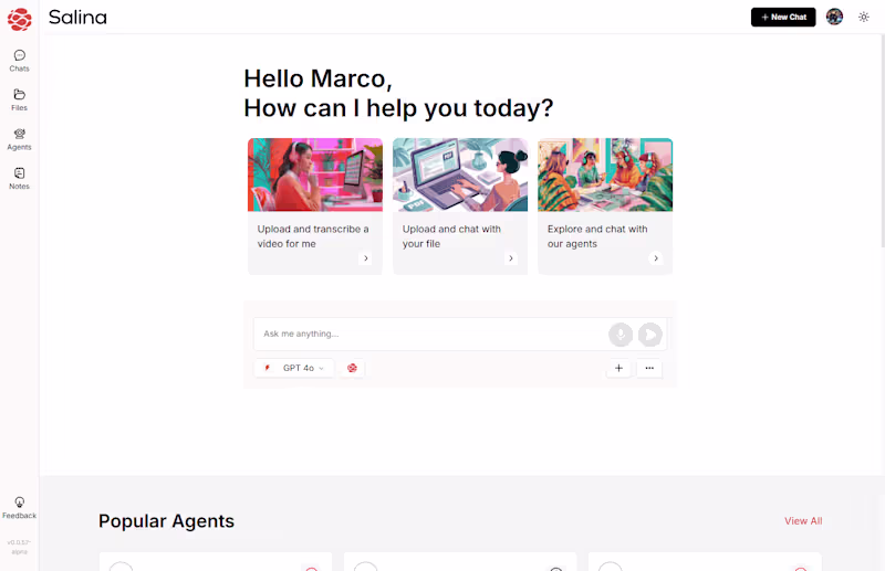 Cover image for Salina Transcription and AI Chat