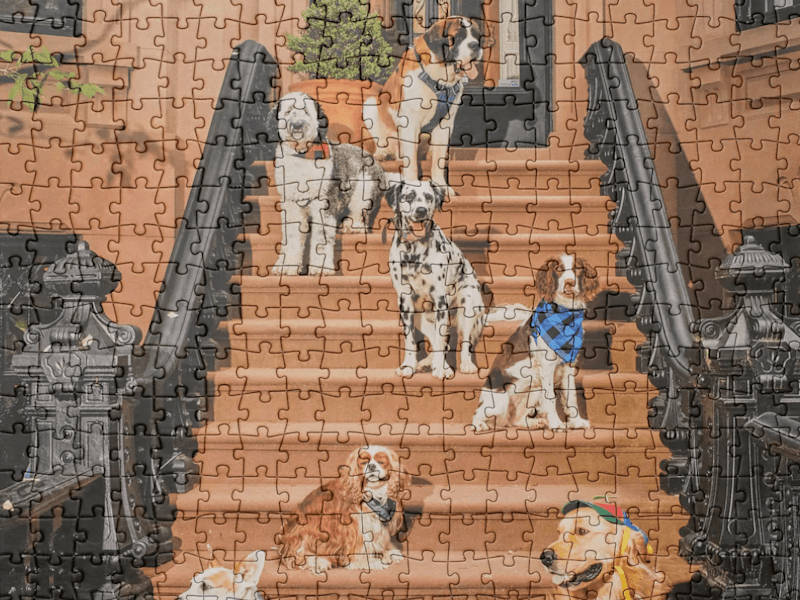 Cover image for Mesa Puzzles