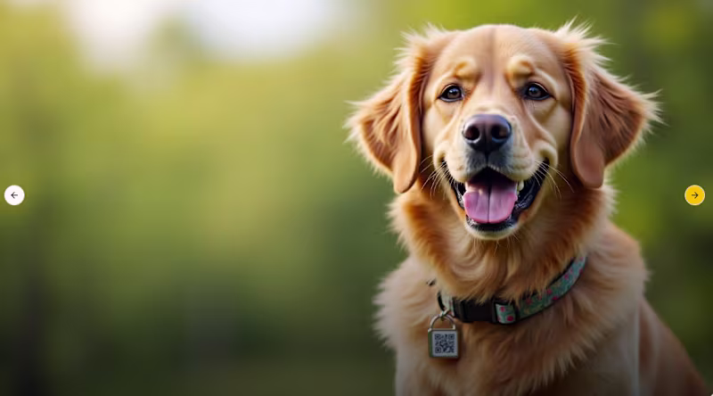 Cover image for FindPetQR