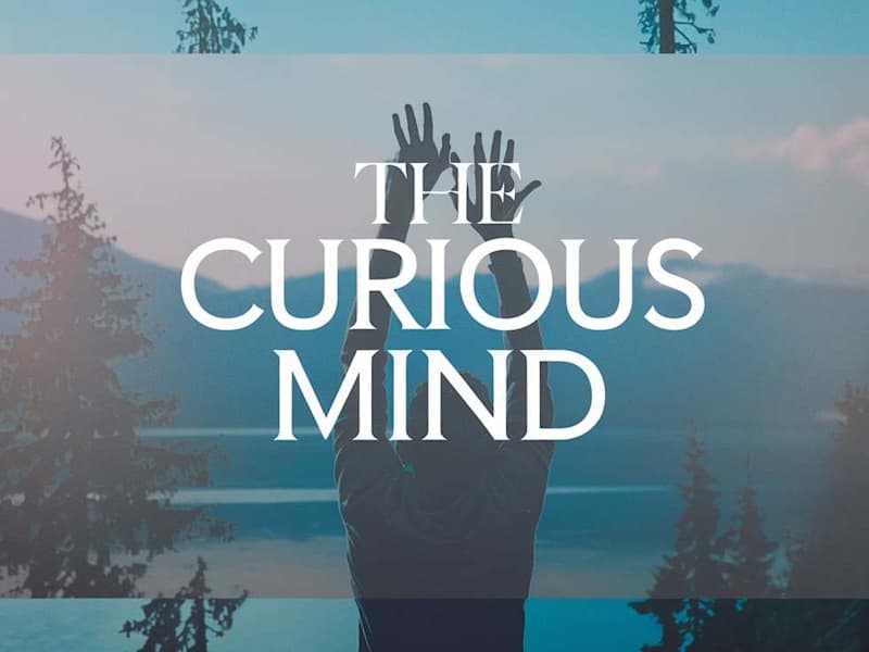 Cover image for THOUGHTFUL