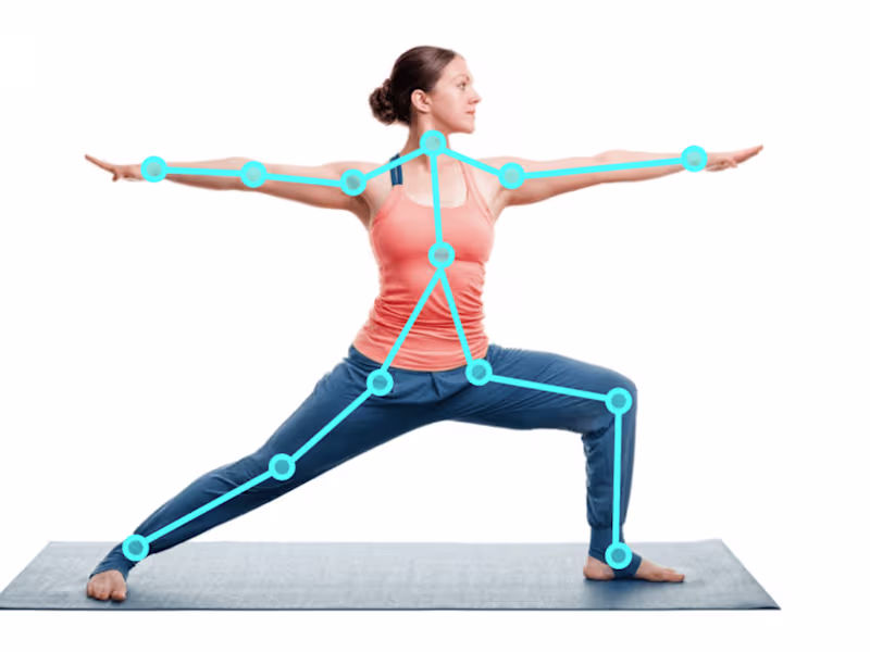 Cover image for Pose Estimation for Human Motion Analysis