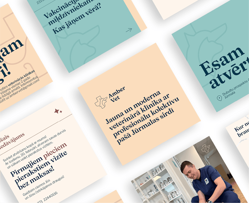 Cover image for Amber Vet | Branding & Web design