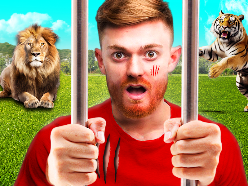 Cover image for EYE CATCHING THUMBNAILS