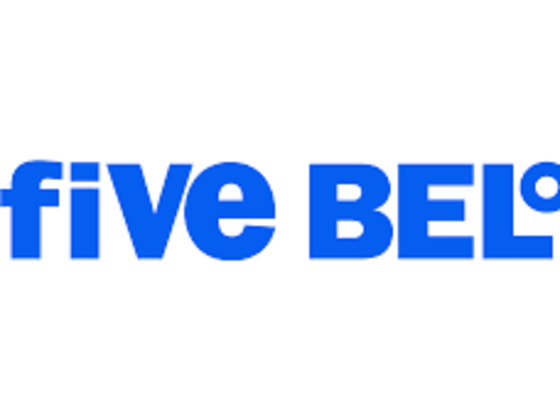 Cover image for Five Below - Google Ads