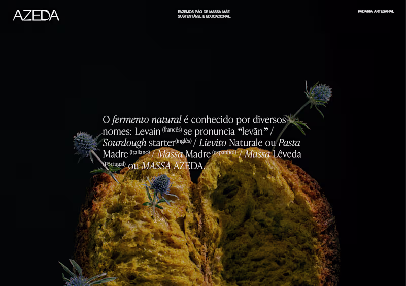 Cover image for Creative Photography & Visuals for Azeda Artesanal